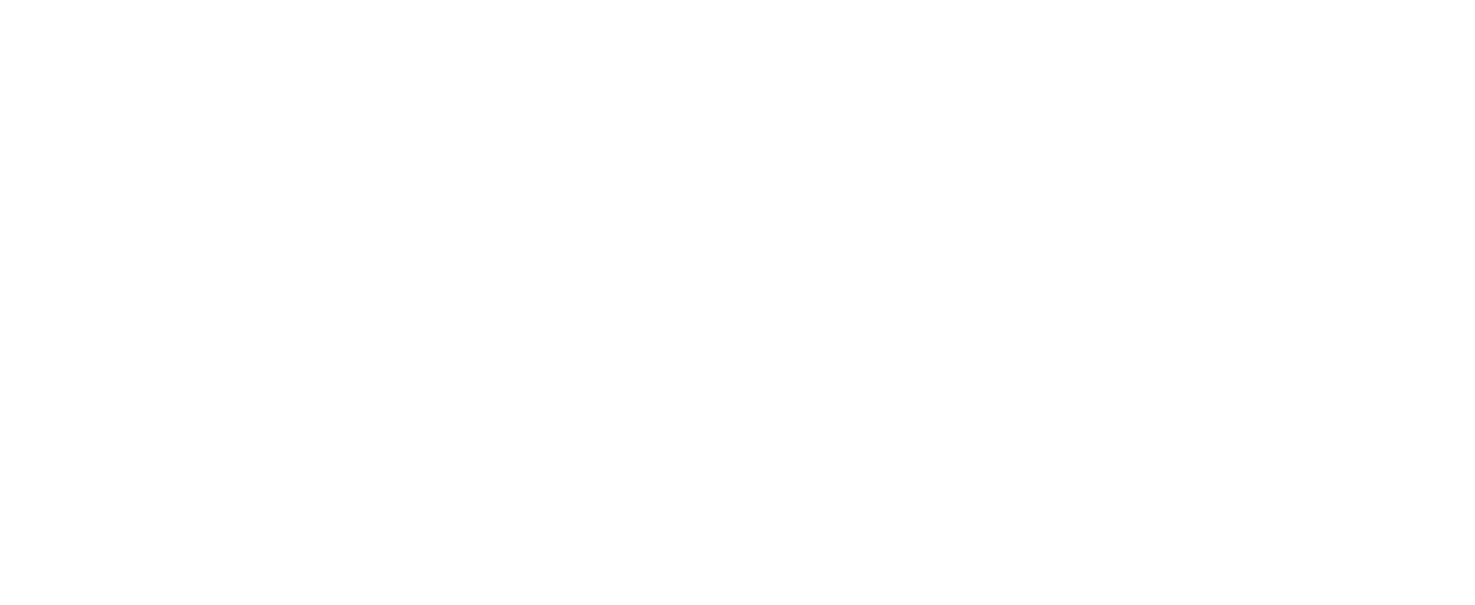logo MAXIMA bianco